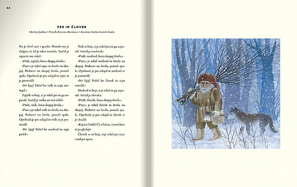 Štiri tačke, psi in mačke