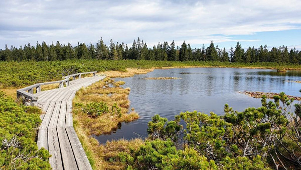 The Slovenia Lakes: Top 101 lakes (SLO in ANG jezik)
