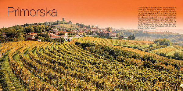 The Slovenia Wine - TOP 125 wine experiences