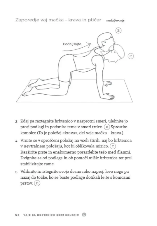 Vaje za hrbtenico brez bolečin