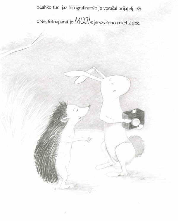 Kako je zajec delil srečo