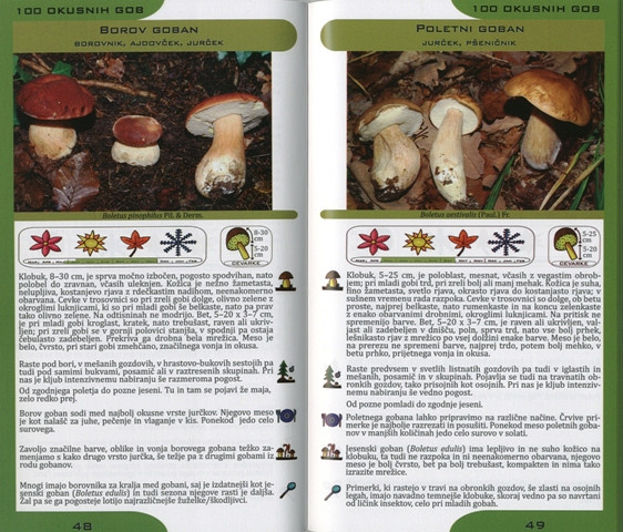 Zdravilne gobe slovenije