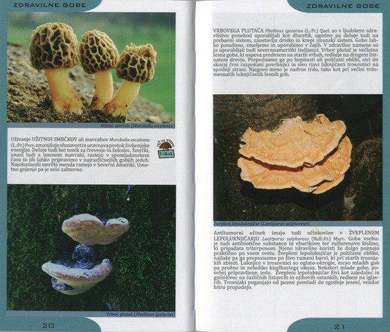 Zdravilne gobe slovenije