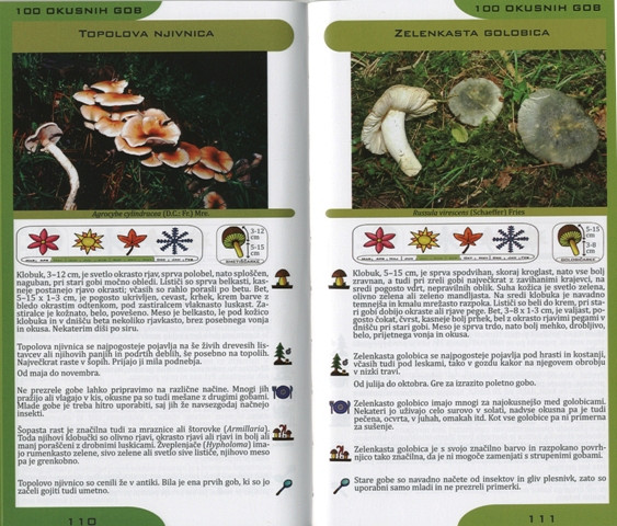 Zdravilne gobe slovenije