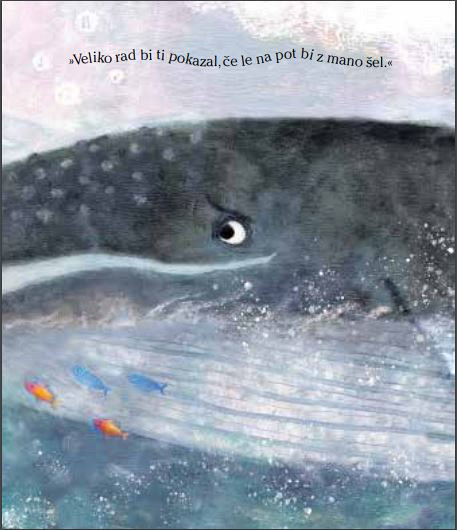 Zgodba o kitu